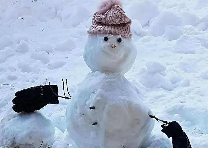 בקתה Turrach Turracher Hohe